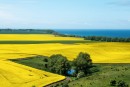 nordkueste ruegen vom leuchtturm arkona